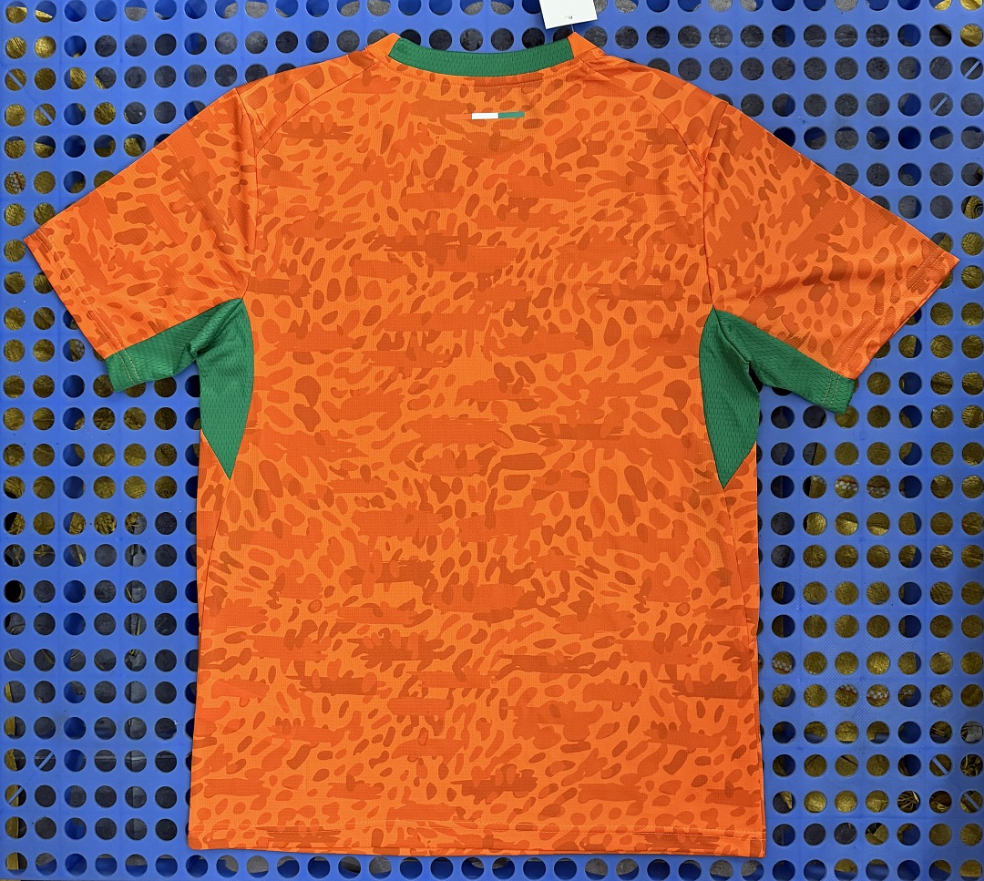 Maillot Côte d'Ivoire domicile 2026 — dos