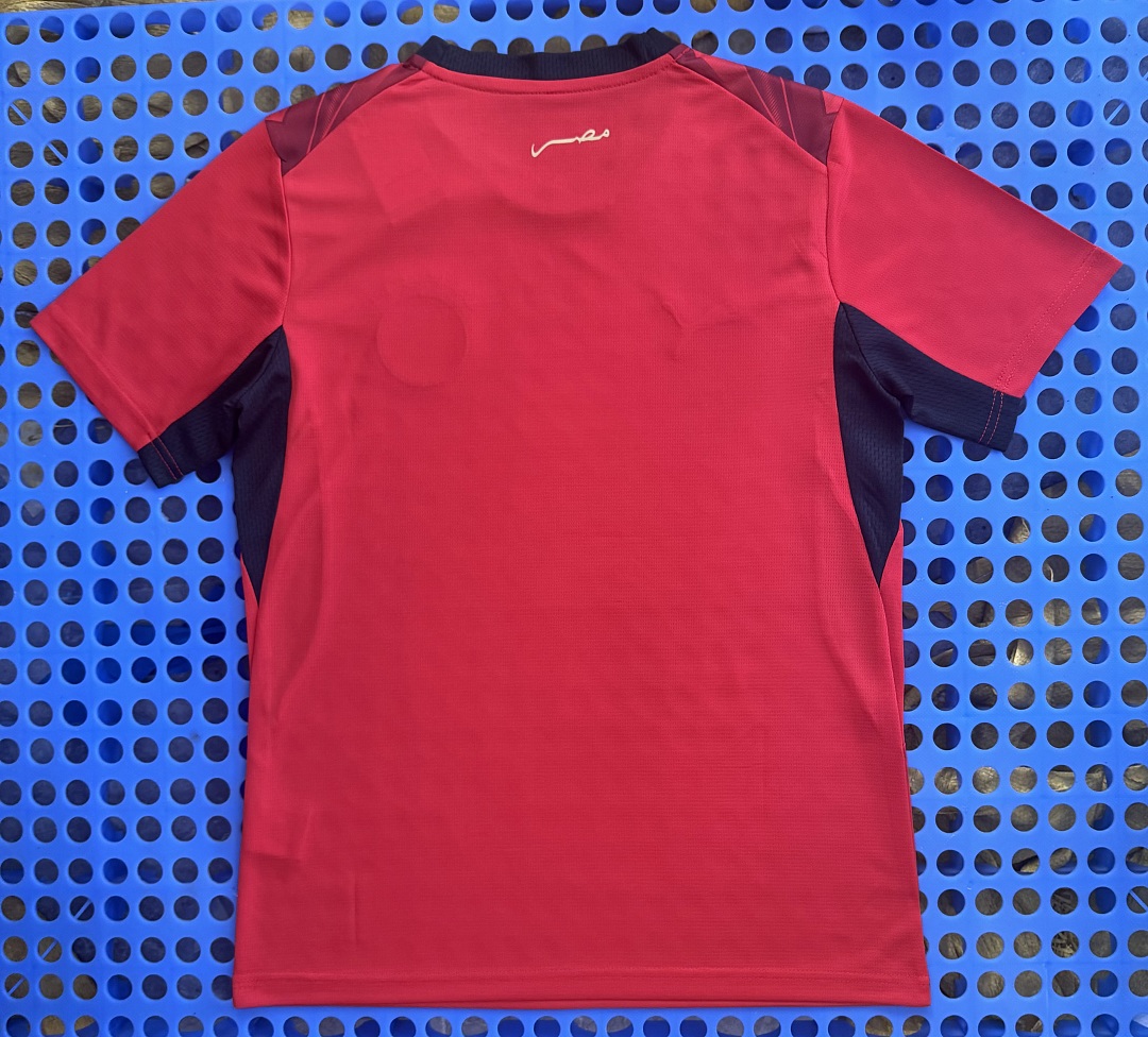 Maillot Égypte domicile 2026 — dos