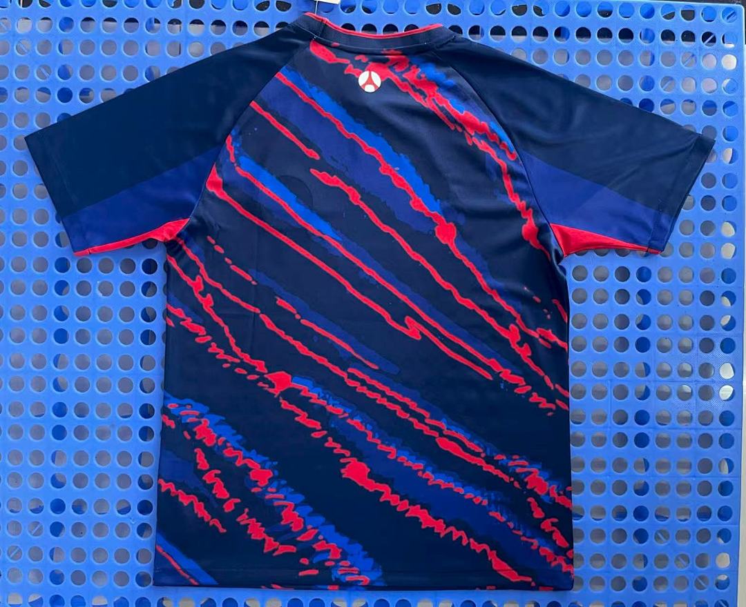 Maillot d'entraînement Paris Saint-Germain — x Jordan (multicolore) 2025-2026 — dos