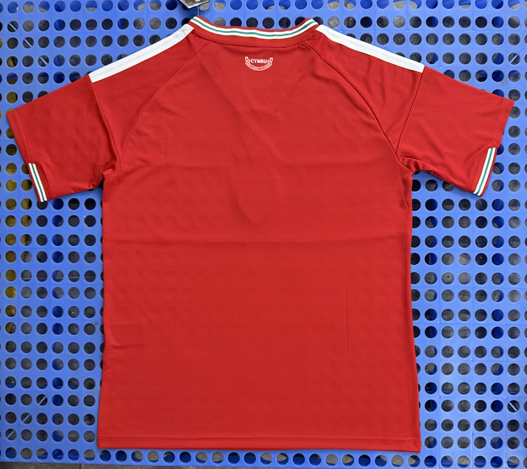 Maillot Pays de Galles domicile 2026 — dos