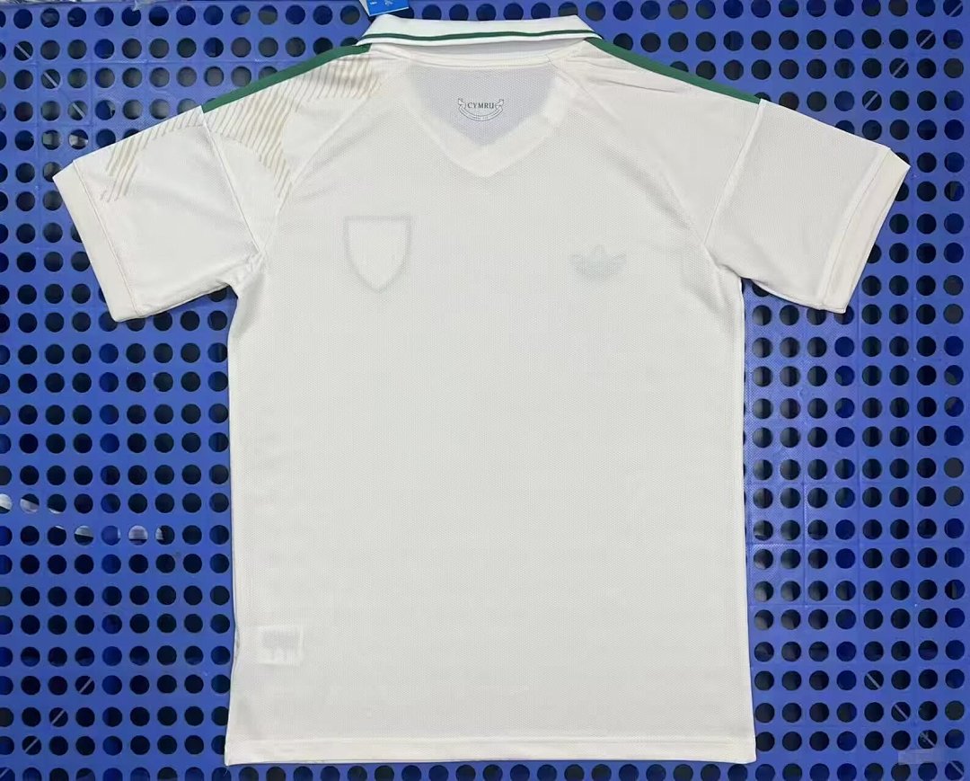 Maillot Pays de Galles extérieur 2026 — dos